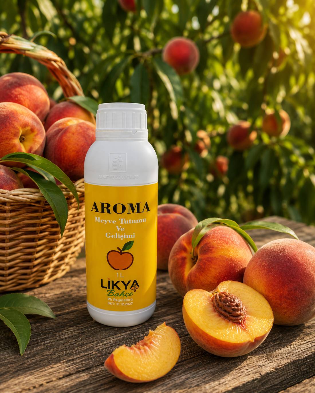 aroma aroma