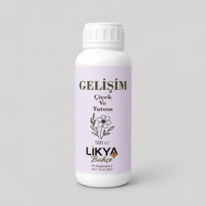 Gelişim