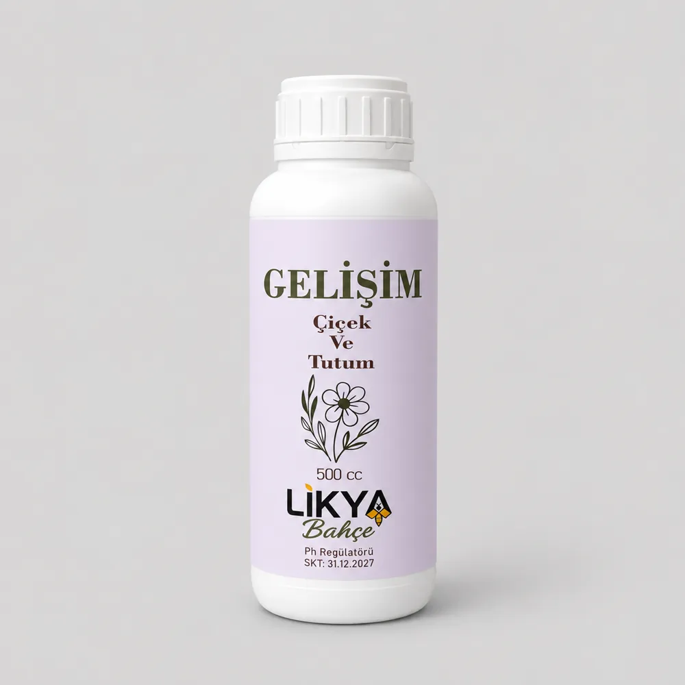 Gelişim Gelişim
