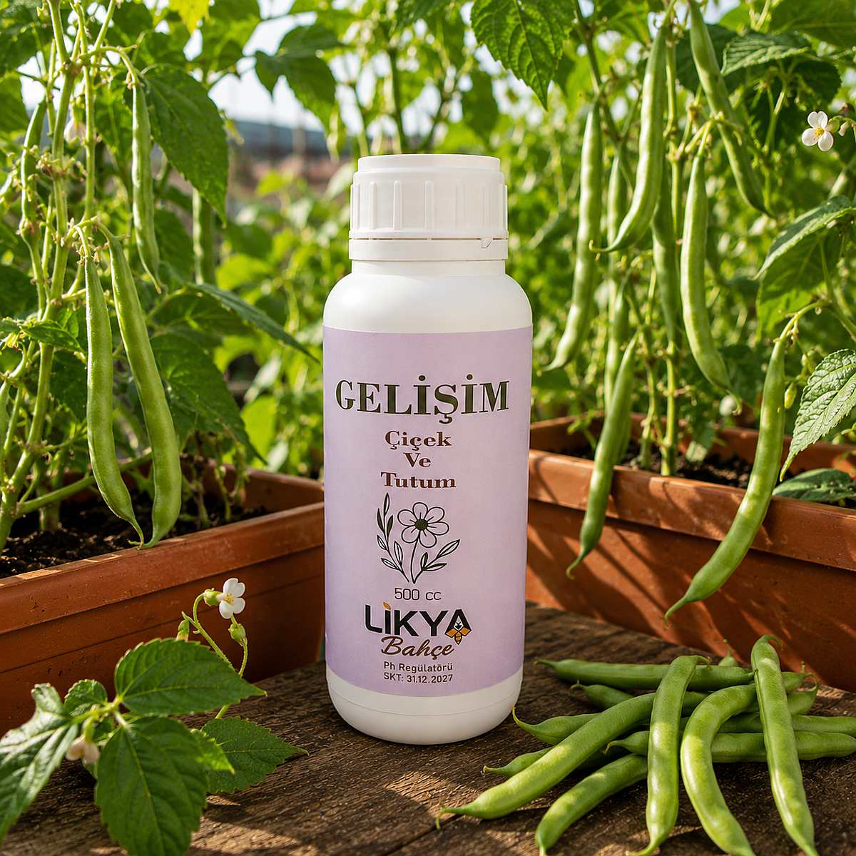 gelişim gelişim