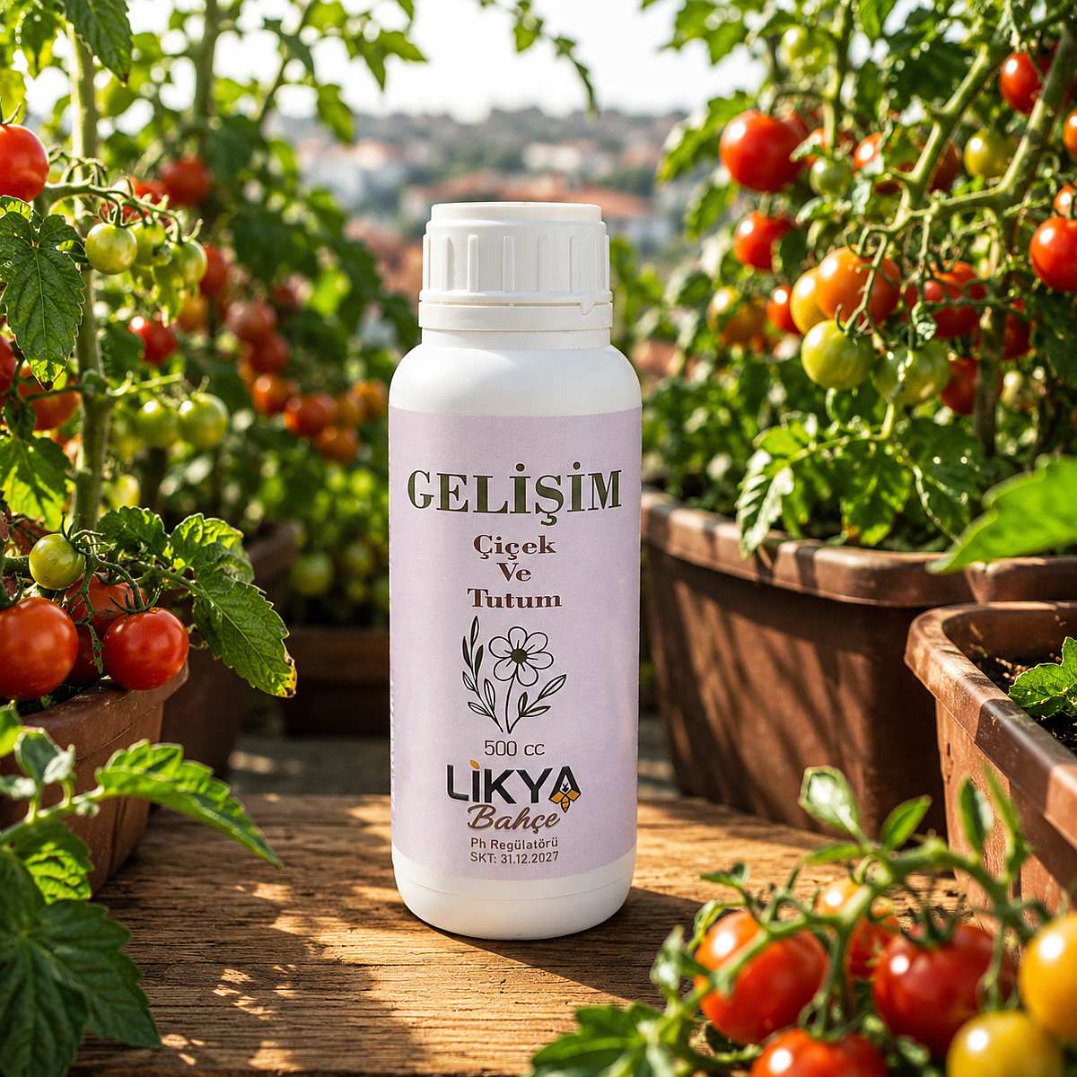 gelişim gelişim