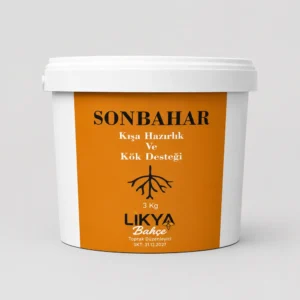 Sonbahar