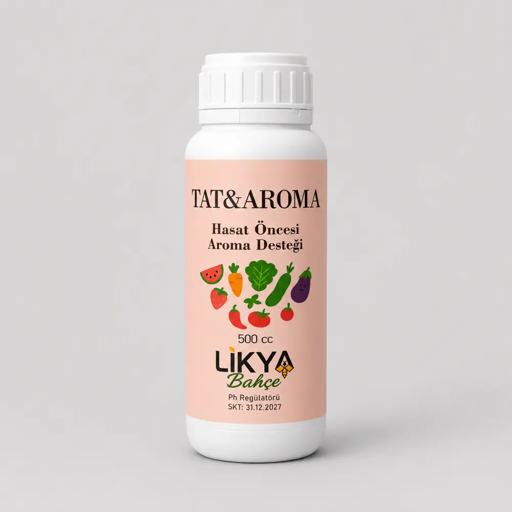 Tat & Aroma Tat & Aroma