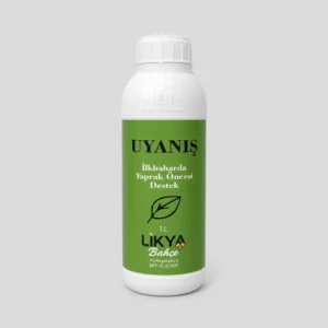 Uyanış