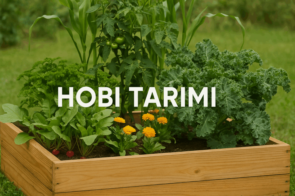 Hobi Tarımı: Toprağa Dokunmanın En Doğal Hali ChatGPT Image 16 Haz 2025 23 36 22 1024x683