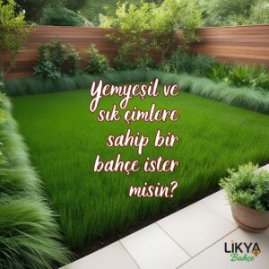 CIMISTEMEK 300x300